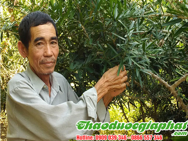 xao-tam-phan-tai-huyen-binh-chanh