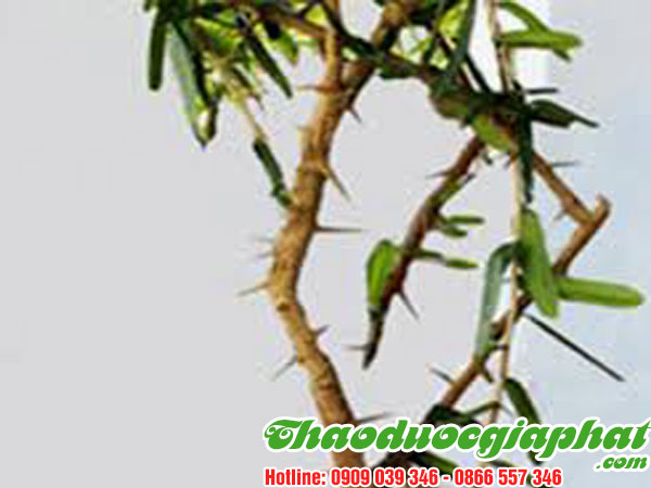 xao-tam-phan-tai-quan-2