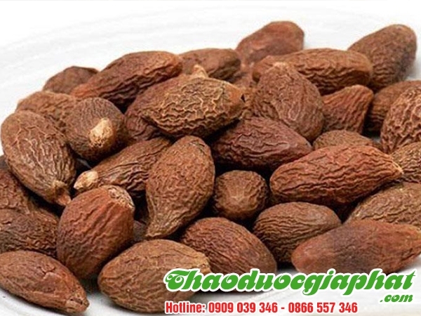 Mua Bán Hạt Ươi Giúp Thanh Nhiệt Giải Độc Cơ Thể Tại Quận 1 Uy Tín Chất Lượng.