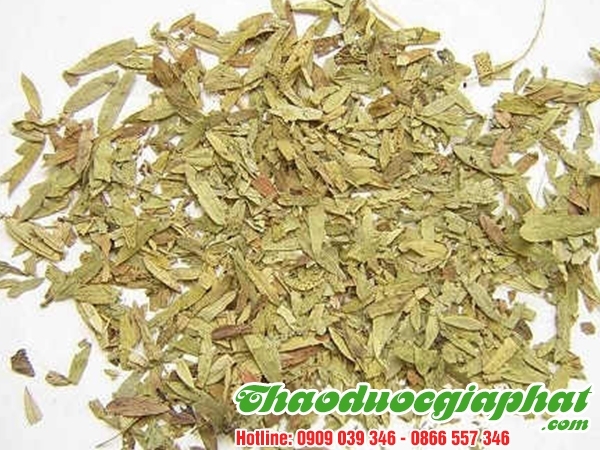 Mua Bán Phan Tả Diệp Đẩy Nhanh Khả Năng Tái Tạo Sụn Khớp Tại Huyện Nhà Bè Hiệu Quả Nhất Hiện Nay ???