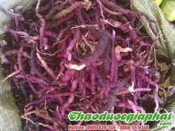 Mua Bán Ba Kích Tím Tại Quận 7 Giúp Tăng Cường Chức Năng Gan Tốt Nhất ???