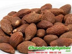 Mua Bán Hạt Ươi  Giúp Điều Trị Hen Phế Quản Tại Thủ Đức Công Dụng Hiệu Quả Cực Tốt ???