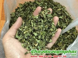 Mua Bán Lá Đu Đủ Đực Tại Huyện Củ Chi Giúp Loại Bỏ Cơn Thèm Đồ Ngọt Rất Tốt ???