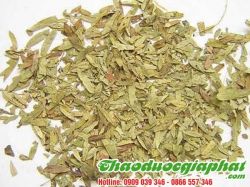 Mua Bán Phan Tả Diệp Đẩy Nhanh Khả Năng Tái Tạo Sụn Khớp Tại Huyện Nhà Bè Hiệu Quả Nhất Hiện Nay ???