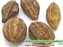 Mua Bán Quả Kha Tử Cách Trị Thâm Quầng Mắt Tại Quận 11 Nhanh Chóng Nhất ???