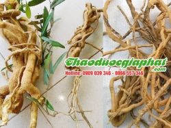 Mua Bán Xáo Tam Phân Giúp Điều Trị Tiêu Thủng Rất Tốt Tại Quận Tân Bình ???
